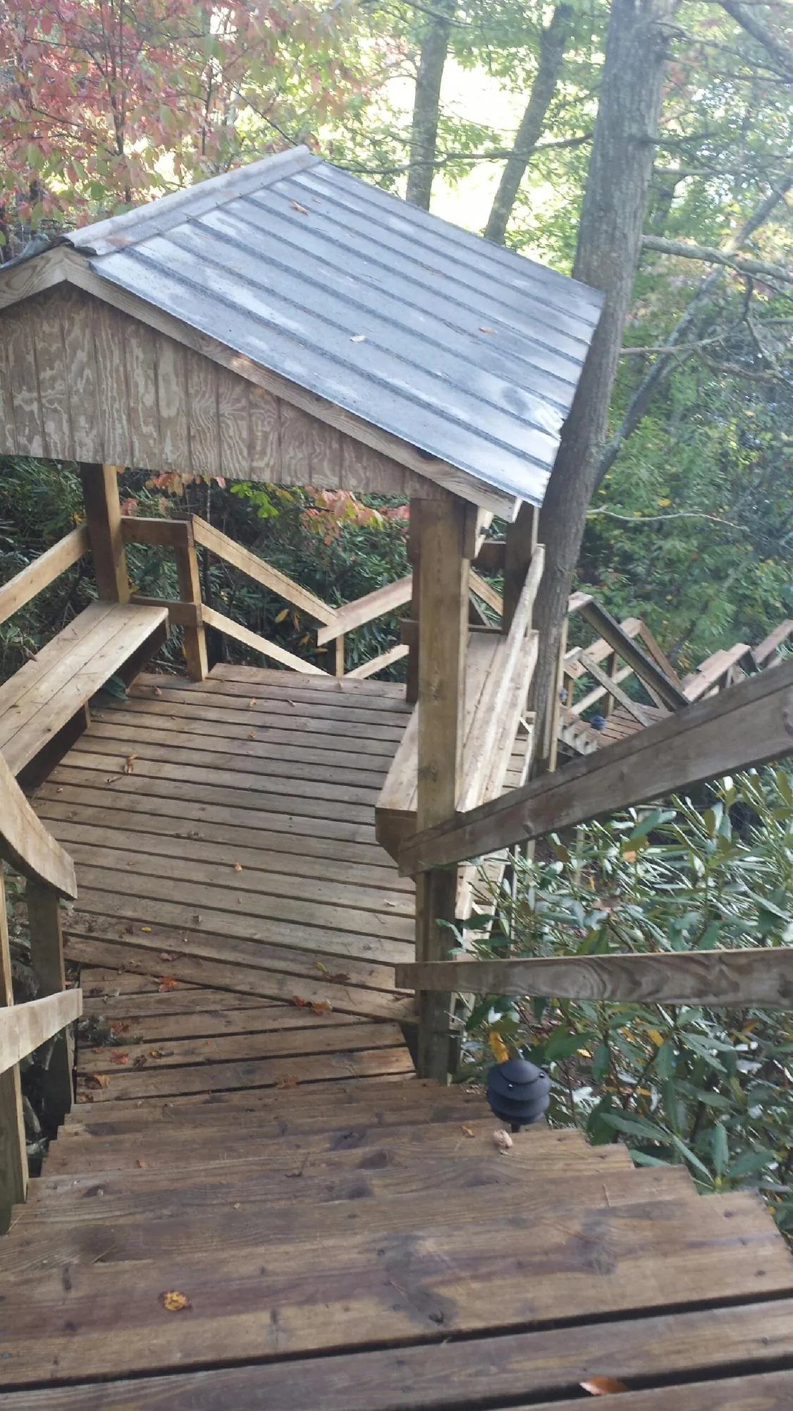 Metal roofed shelter over wooden steps on a wooded walkway — Skylight Repair & Installation work by our crew in Woodinville