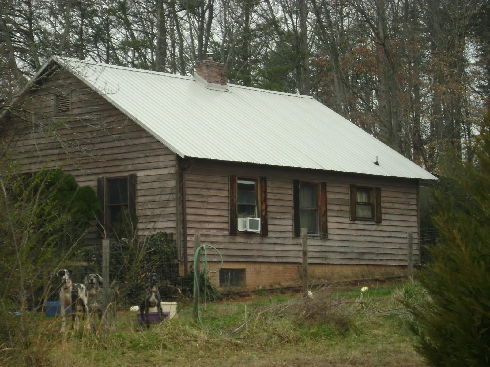 White metal roof on an old wood sided farmhouse, from a Metal Roof Installation job in Woodinville